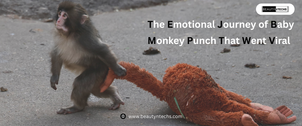 baby monkey punch viral story
